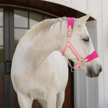 Load image into Gallery viewer, Equinavia Saga Fleece Padded Breakaway Halter

