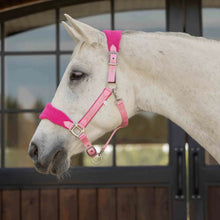 Load image into Gallery viewer, Equinavia Saga Fleece Padded Breakaway Halter
