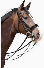 Kieffer Paris Double Bridle