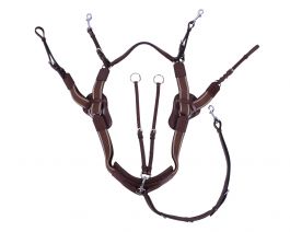 QHP Sedna 5 Point Breastplate
