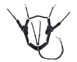 QHP Sedna 5 Point Breastplate