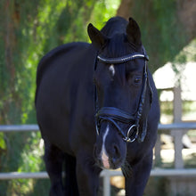 Load image into Gallery viewer, Halter Ego: Doc Marten Black Leather Snaffle Bridle
